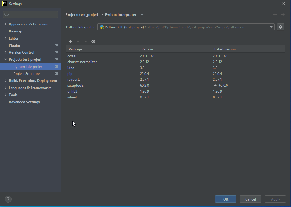 pycharm project python interpreter with new packages